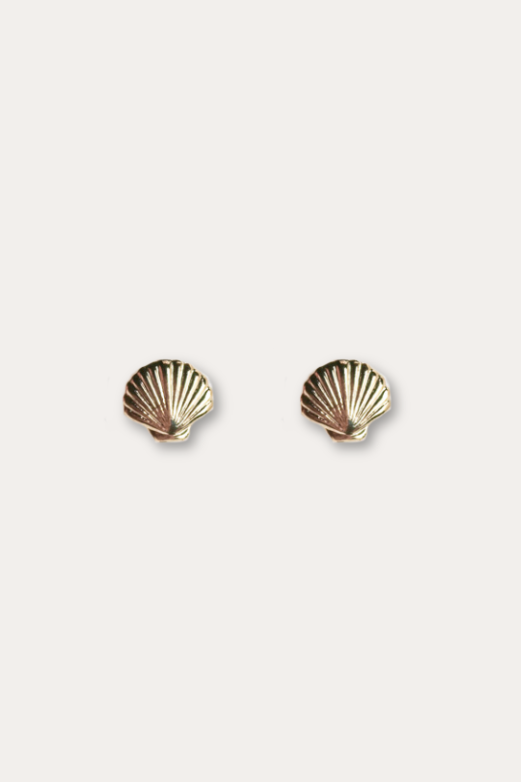 Seashell Stud Earrings